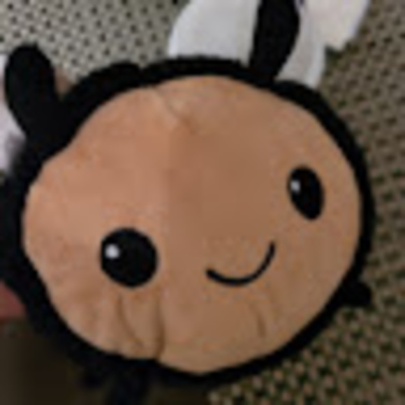 Meet your Posher, David - Picture 1 of 1